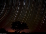 Star Trails of Lochiel